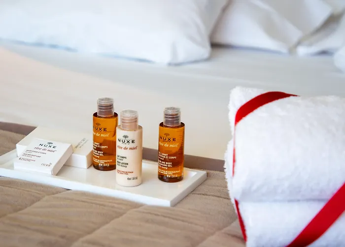 Privilege Saint Exupery Toulouse